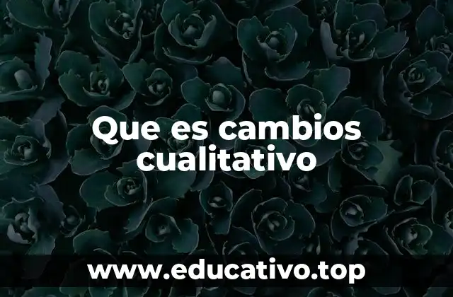 Que es cambios cualitativo