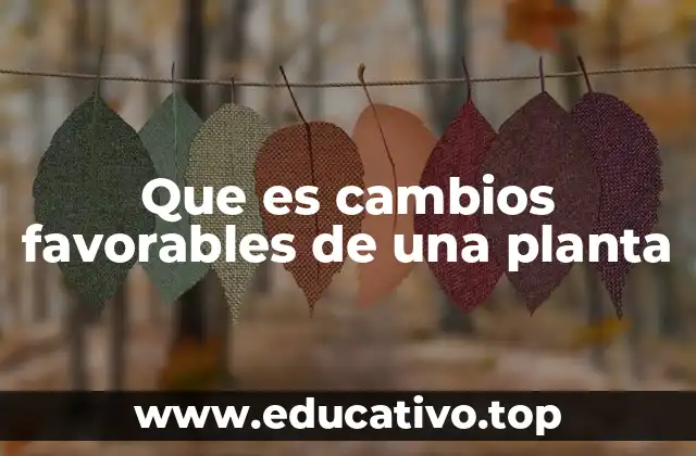 Que es cambios favorables de una planta