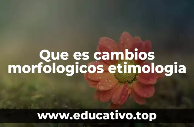 Que es cambios morfologicos etimologia