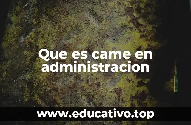 La importancia del análisis CAME en la toma de decisiones