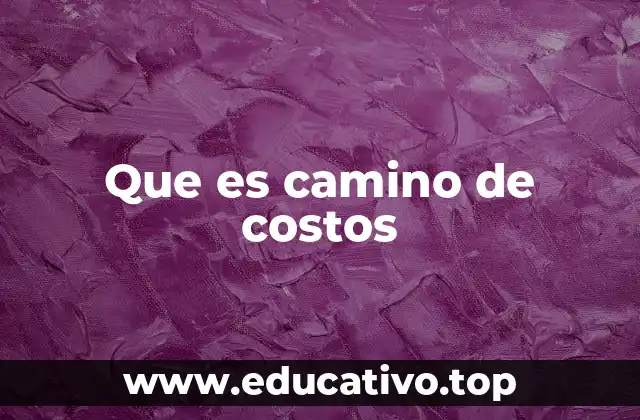 Que es camino de costos