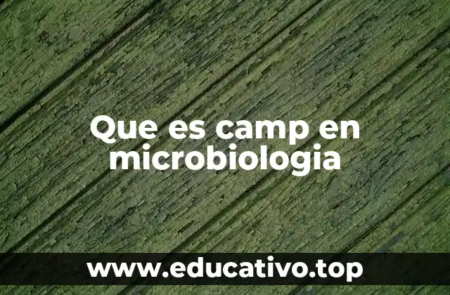 Que es camp en microbiologia