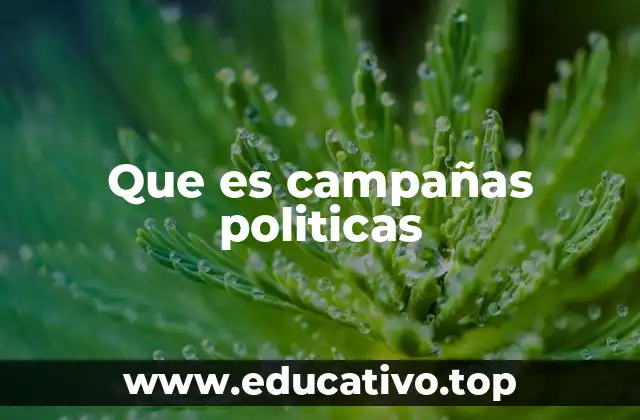 Que es campañas politicas