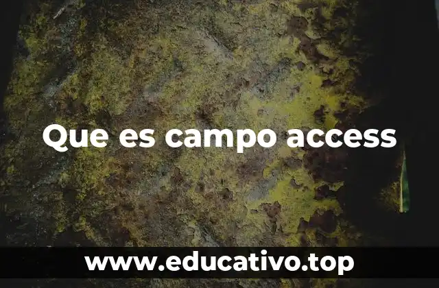 Que es campo access