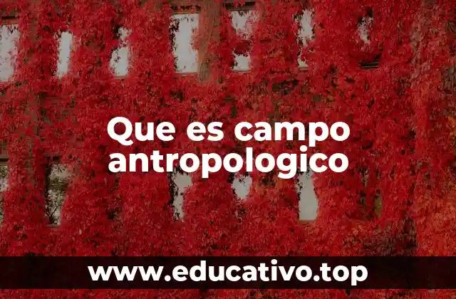 Que es campo antropologico