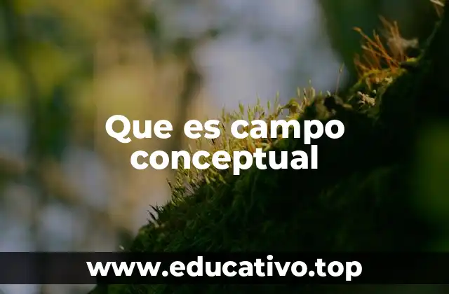 Que es campo conceptual