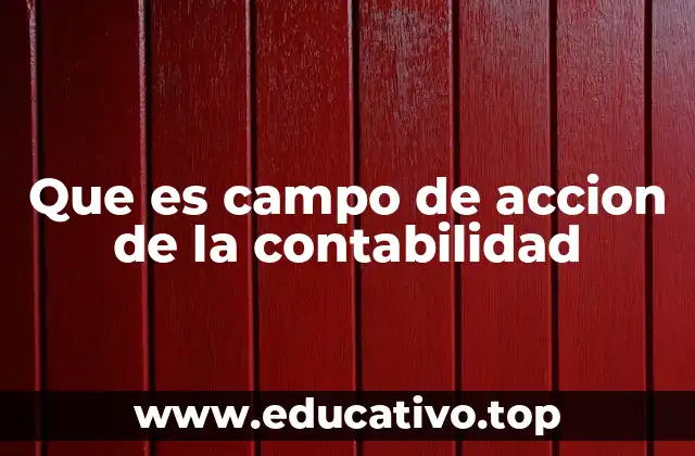 Que es campo de accion de la contabilidad
