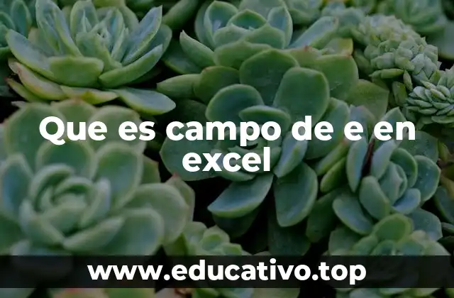 Que es campo de e en excel