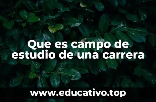 Que es campo de estudio de una carrera
