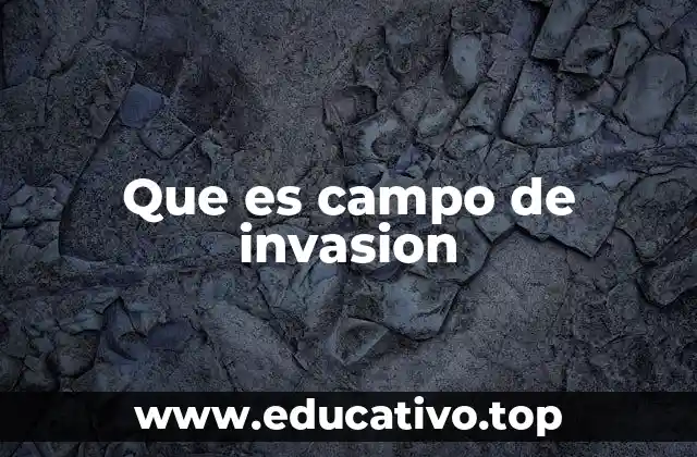 Que es campo de invasion