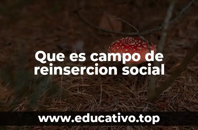 Que es campo de reinsercion social