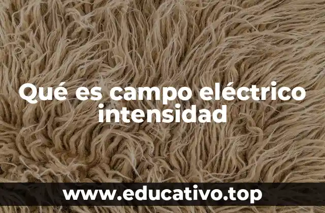 Qué es campo eléctrico intensidad