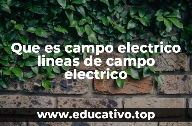 Visualizando el comportamiento de las cargas eléctricas