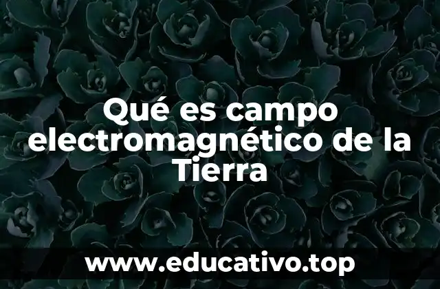 Qué es campo electromagnético de la Tierra