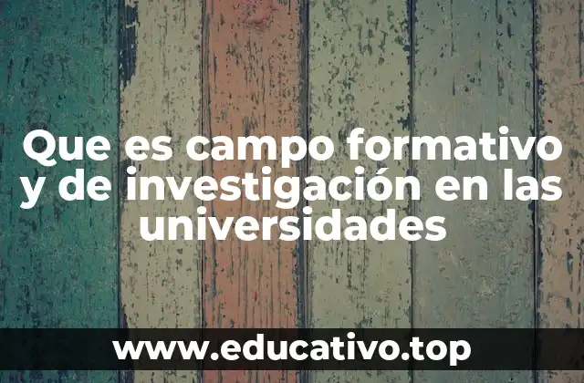 Que es campo formativo y de investigación en las universidades