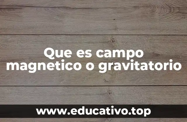 Que es campo magnetico o gravitatorio