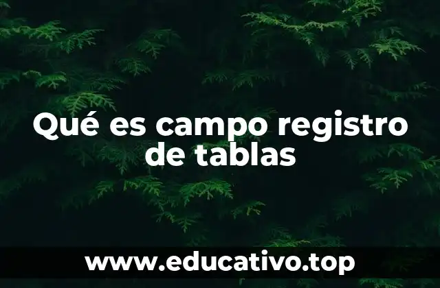 Qué es campo registro de tablas