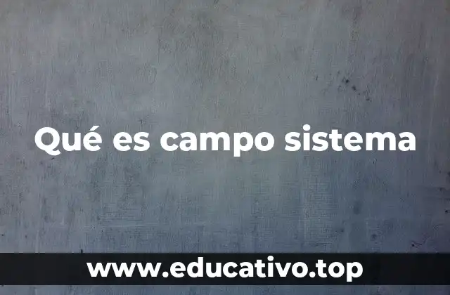 Qué es campo sistema