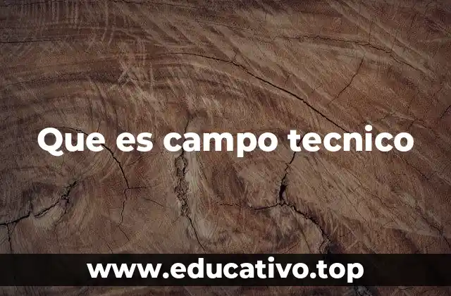 Que es campo tecnico