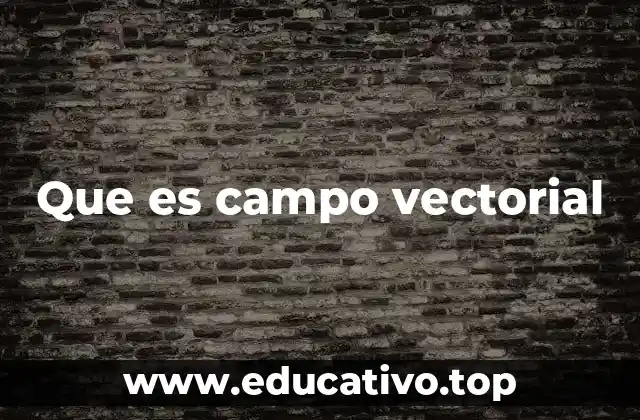 Que es campo vectorial