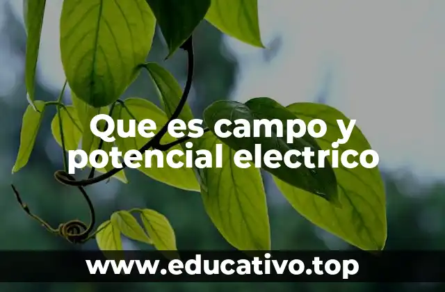 Que es campo y potencial electrico