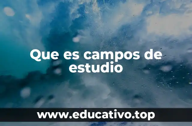 Que es campos de estudio