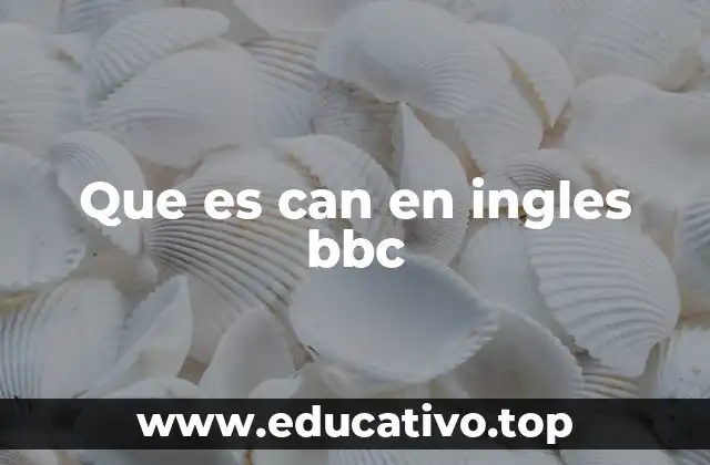Que es can en ingles bbc