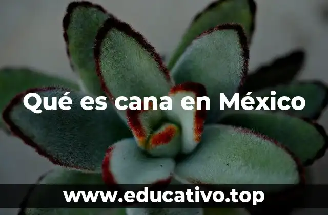 Qué es cana en México