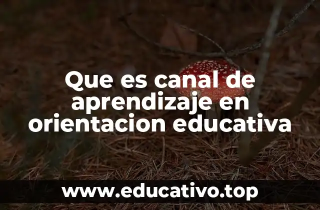 Que es canal de aprendizaje en orientacion educativa
