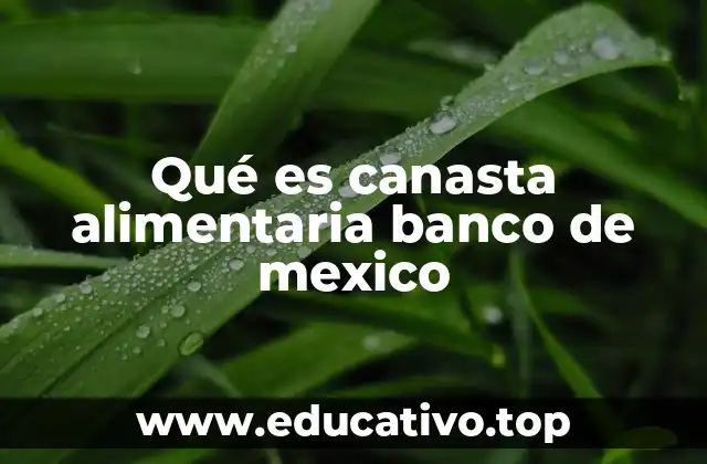 Qué es canasta alimentaria banco de mexico