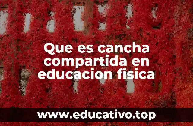 Que es cancha compartida en educacion fisica