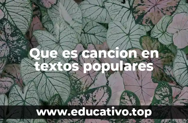 Que es cancion en textos populares