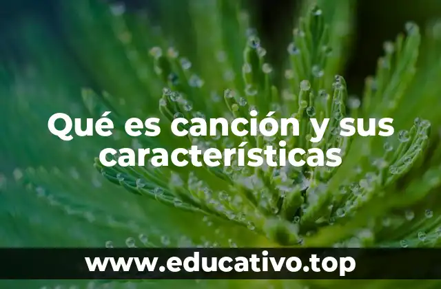 Qué es canción y sus características