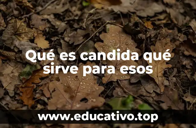 Qué es candida qué sirve para esos