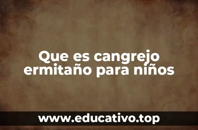 Que es cangrejo ermitaño para niños