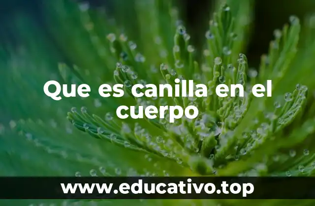 Que es canilla en el cuerpo