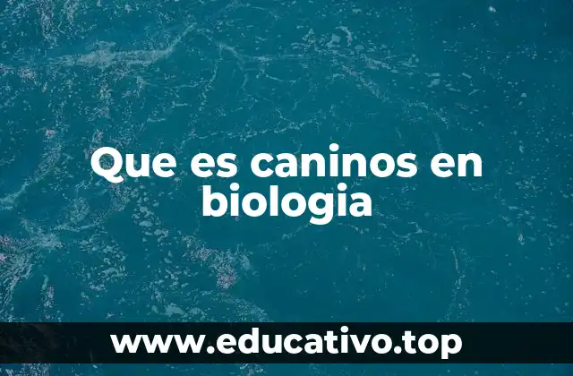 Que es caninos en biologia