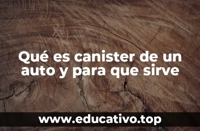 Qué es canister de un auto y para que sirve