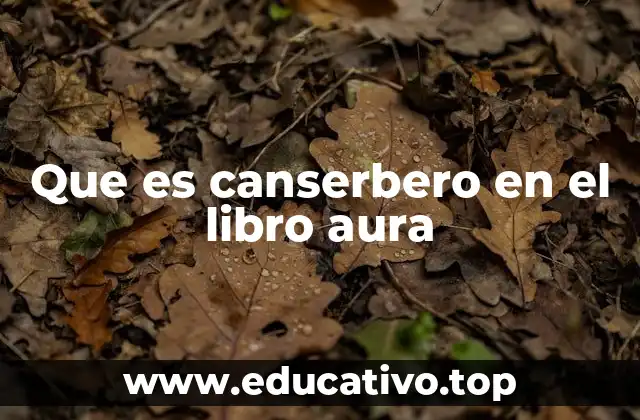 Que es canserbero en el libro aura