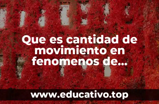 Que es cantidad de movimiento en fenomenos de transporte