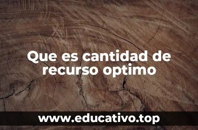 Que es cantidad de recurso optimo