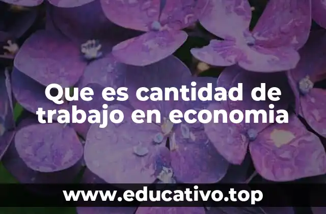 Que es cantidad de trabajo en economia