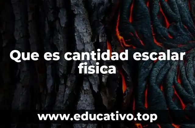 Que es cantidad escalar fisica