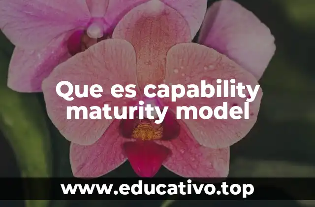 Que es capability maturity model