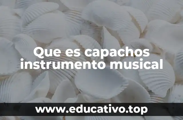 Que es capachos instrumento musical