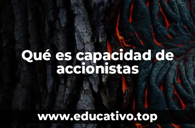 Qué es capacidad de accionistas