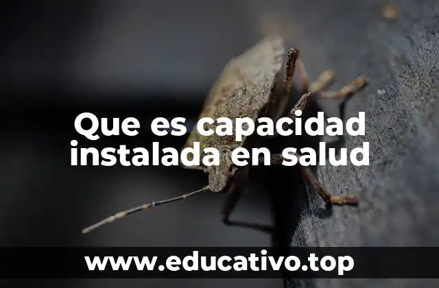 Que es capacidad instalada en salud