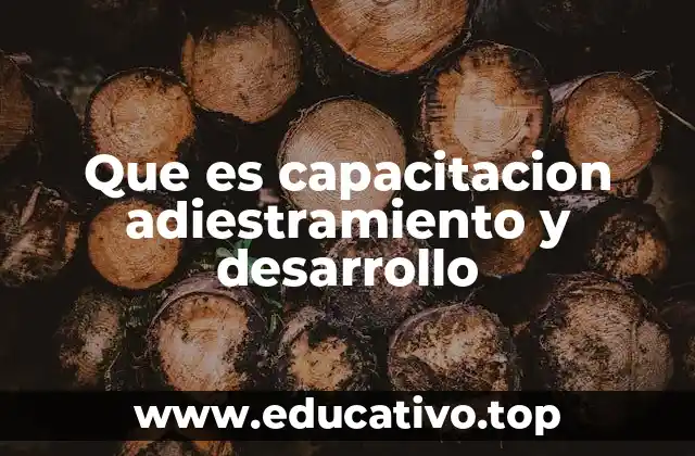 Que es capacitacion adiestramiento y desarrollo