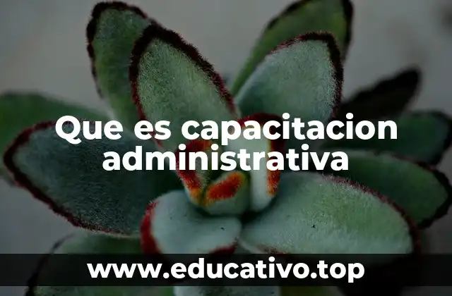 Que es capacitacion administrativa