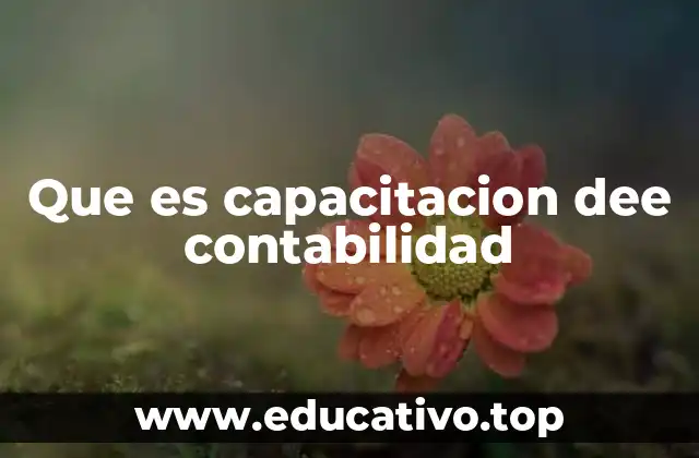 Que es capacitacion dee contabilidad